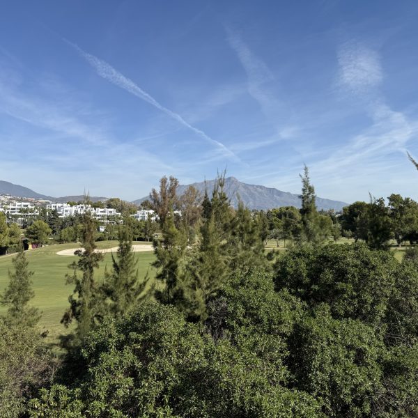 Luxury Duplex Penthouse for Sale in Cataleya Estepona 16